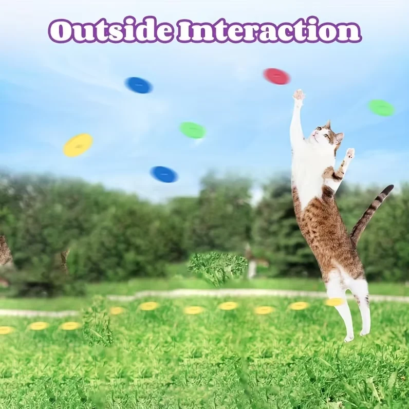 Wurfscheiben-Pistole – Interaktives Katzenspielzeug