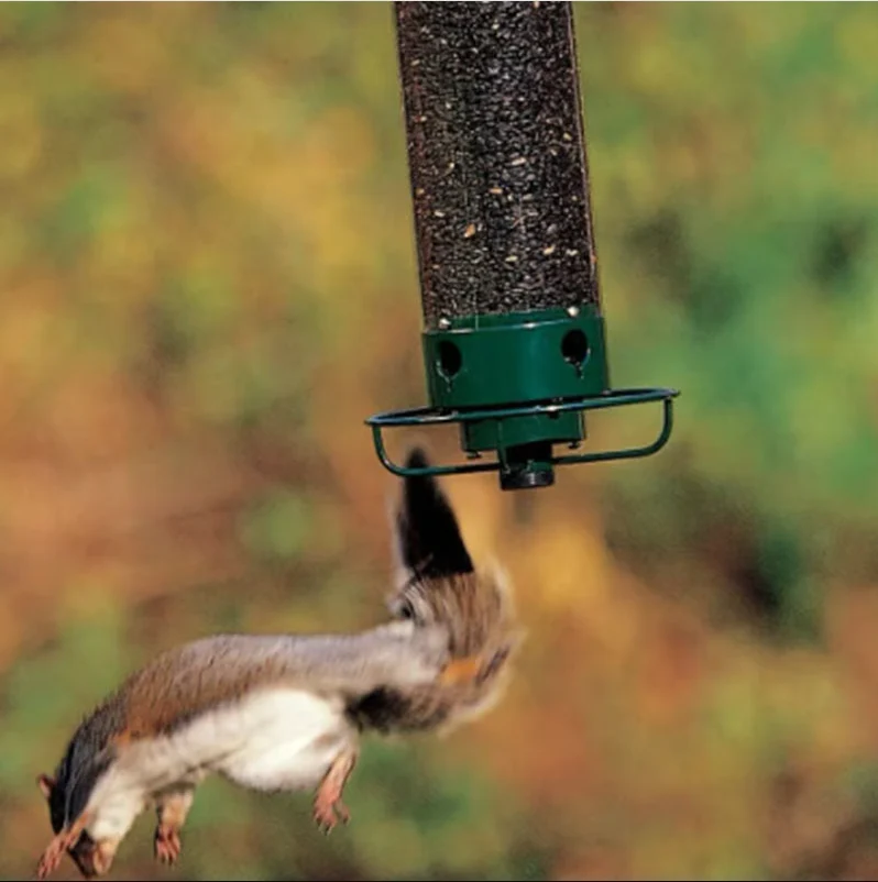 Eichhörnchensicherer Vogelfutterspender