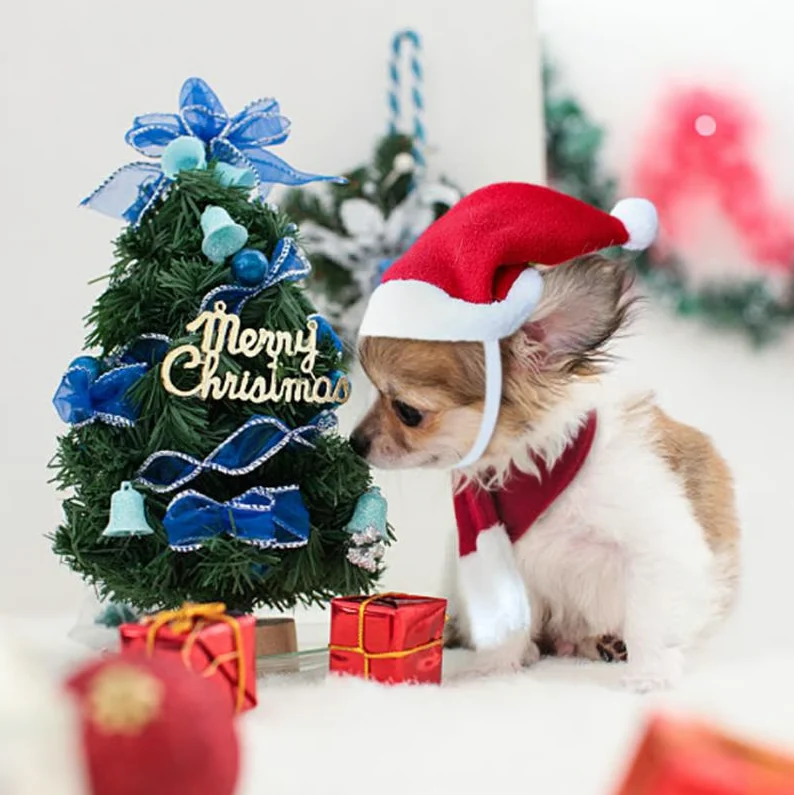 Weihnachtsmütze Mit Schal Für Haustiere