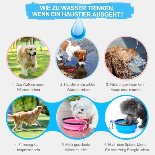 2-in-1 Tragbare Wasser- Und Futterflasche Für Haustiere