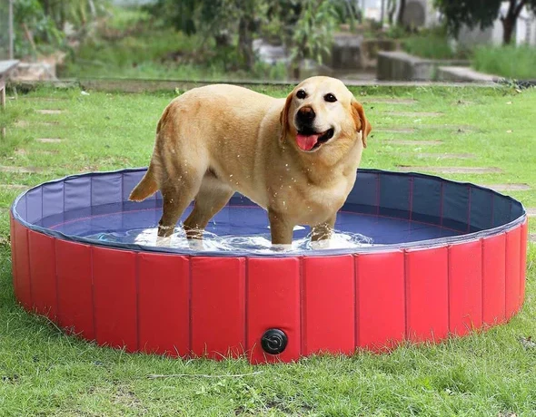 Faltbarer Hunde-Pool Für Garten Und Outdoor