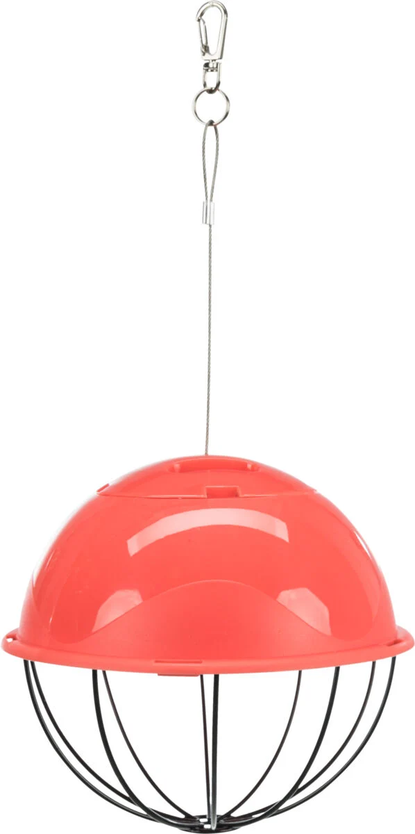 Food-Ball