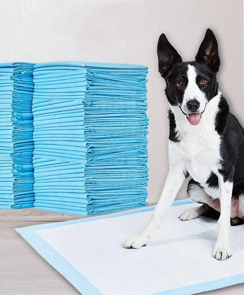 Stubenreinheitstraining Pads