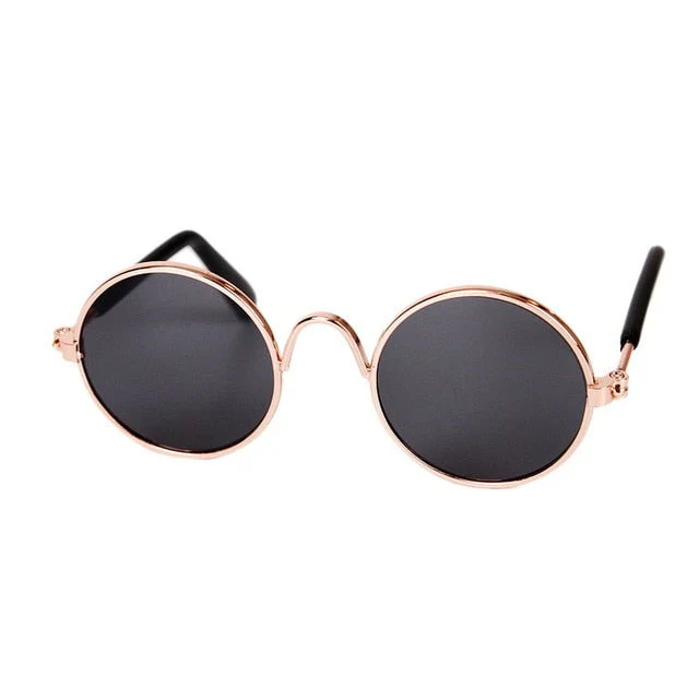 Modische Katzenbrille