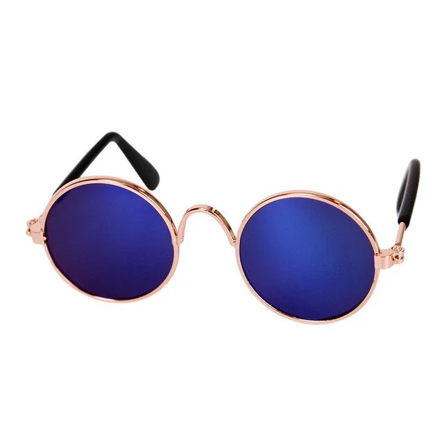 Modische Katzenbrille