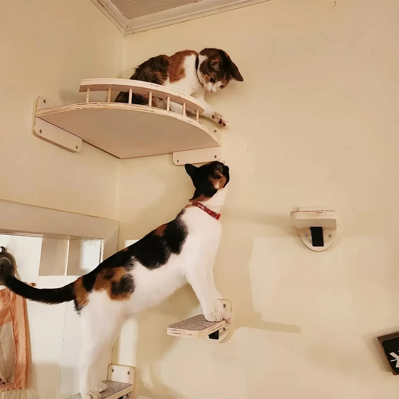 Individuell Zusammenstellbarer Katzen Wand Kratzbaum