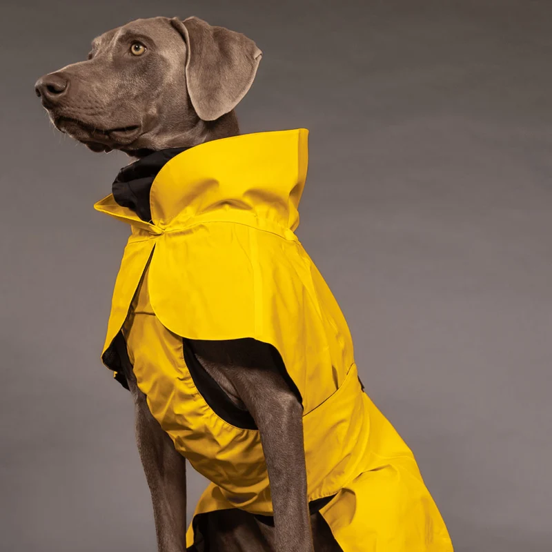 Hunderegenmantel, Visibility Lite Yellow