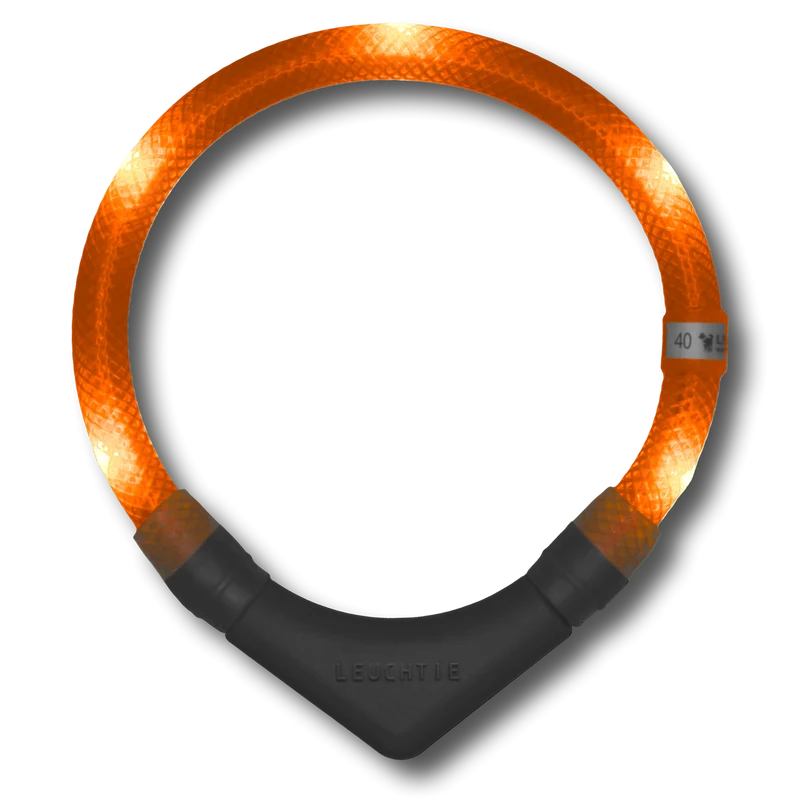 Hunde-Leuchthalsband Plus | Sunset Orange
