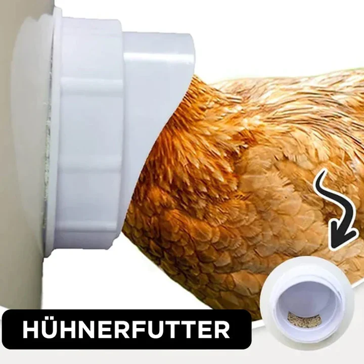 Selbstversorgendes Hühnerfutter-System