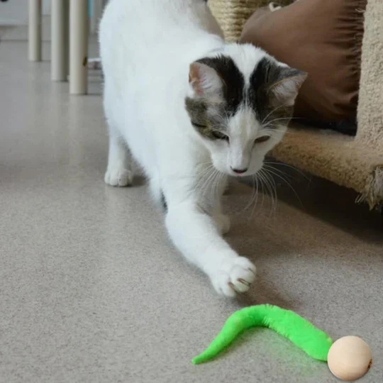 Interaktives Katzenspielzeug Mit Glocke Und Wackelschwanz