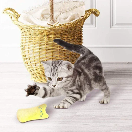 Kratzfestes Katzenspielzeug Mit Katzenminze