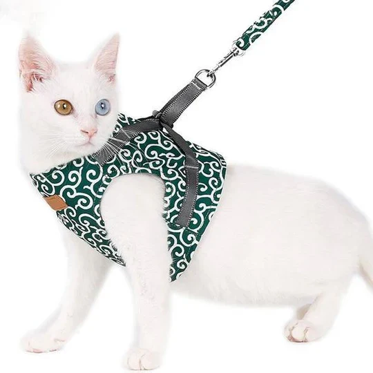 Atmungsaktives Katzengeschirr Mit Leine Für Outdoor-Spaziergänge