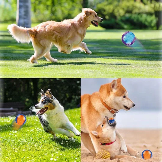 Langlebiger Kauspielball für Hunde