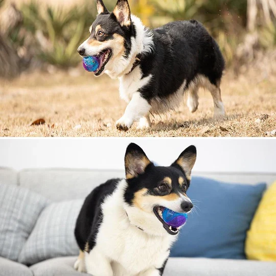 Langlebiger Kauspielball für Hunde