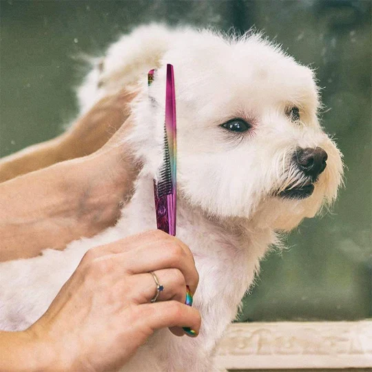 Haarschneideschere Für Hunde – Präzise Fellpflege