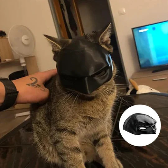 Heldenhafte Katzenmaske Für Einzigartige Auftritte