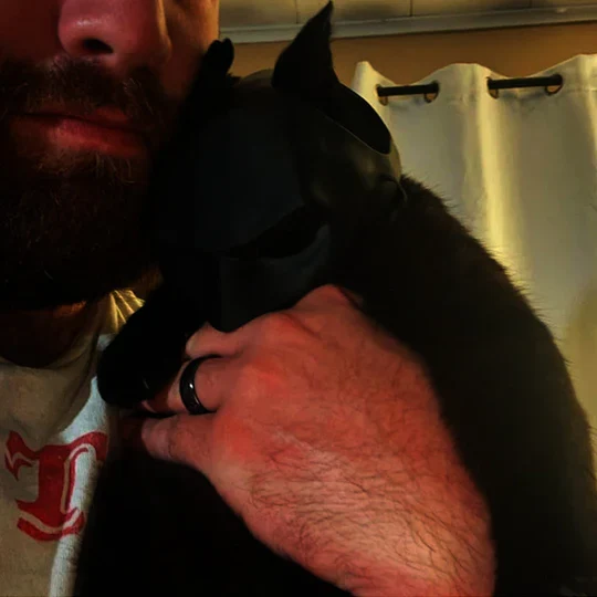 Heldenhafte Katzenmaske Für Einzigartige Auftritte
