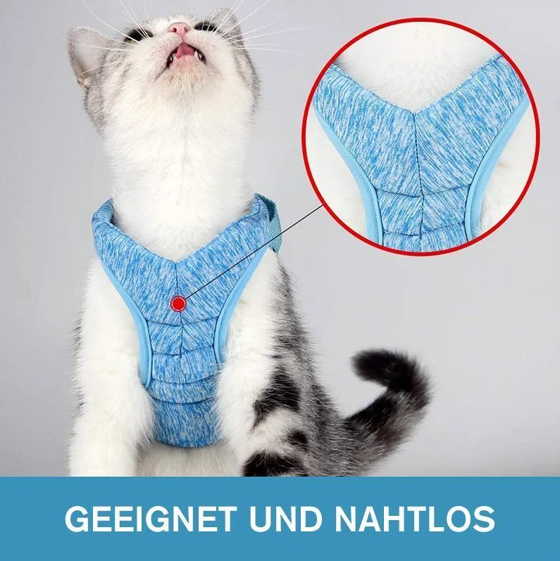 Katzen-Geschirr mit Leine