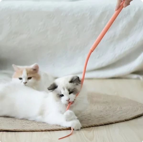 2er Set -- Flexibler Spielstab für Katzen – Interaktives Spielvergnügen