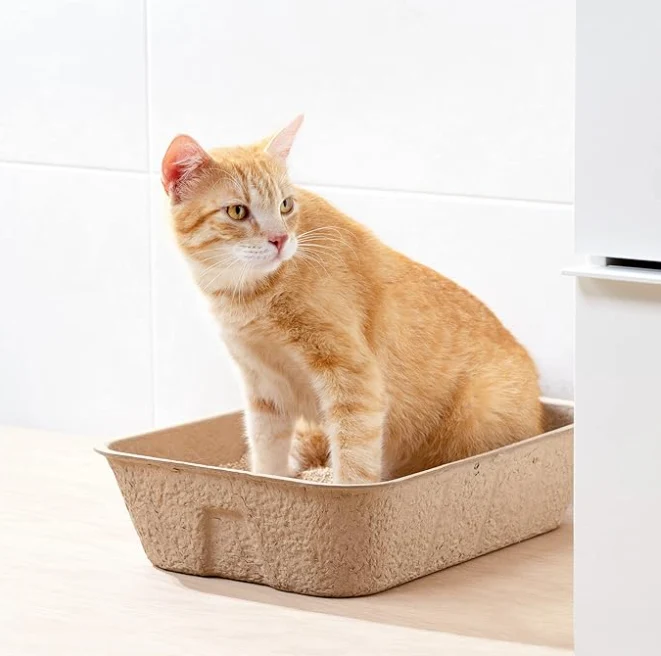 Biologisch Abbaubare Katzenstreu Box – Nachhaltige Hygiene für Dein Haustier