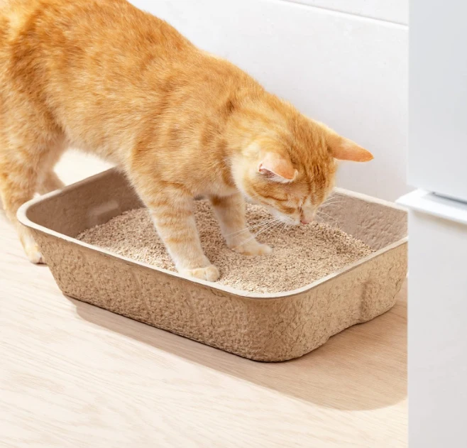 Biologisch Abbaubare Katzenstreu Box – Nachhaltige Hygiene für Dein Haustier