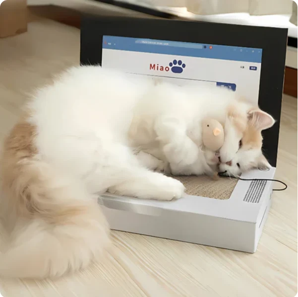 Katzen Kratzbrett Laptop