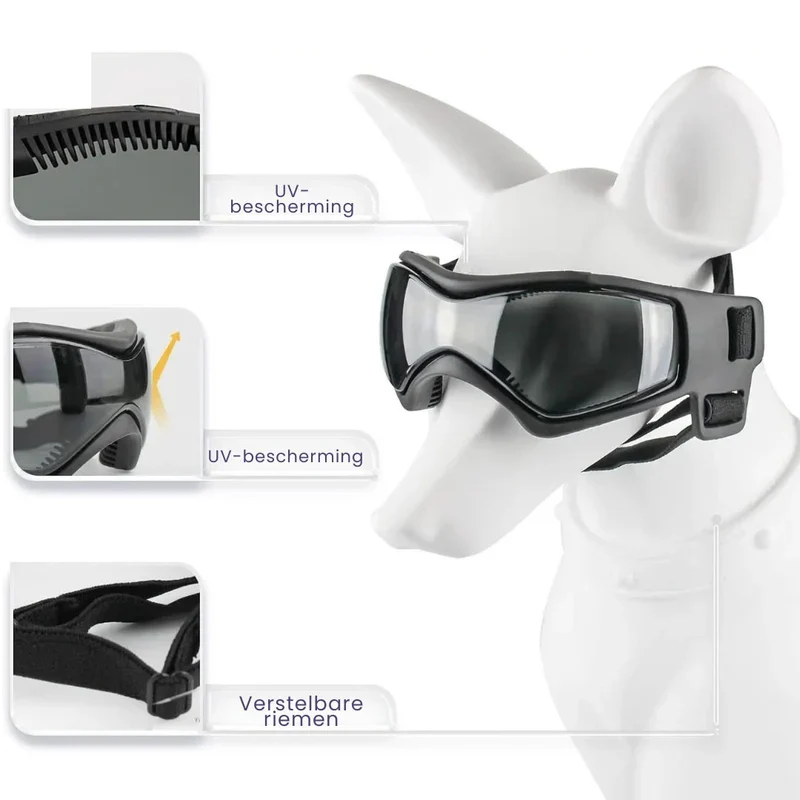 Stylischer Hundehelm mit Brille
