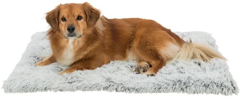 Liegematte Harvey