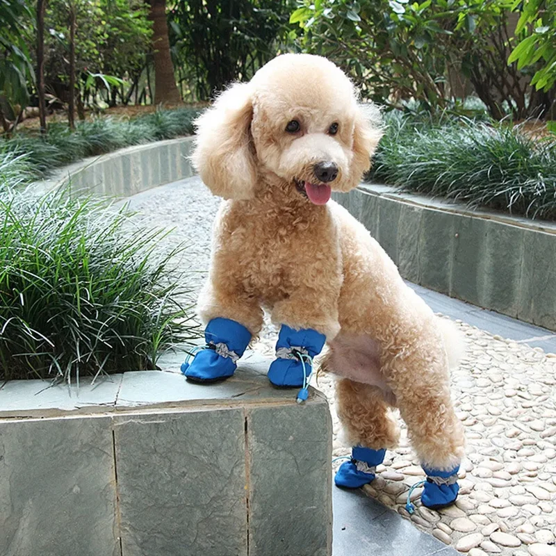 Hunde Pfotenschuhe für den Winter