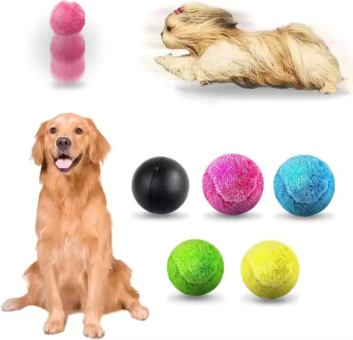 Selbstrollendes Hundespielzeug