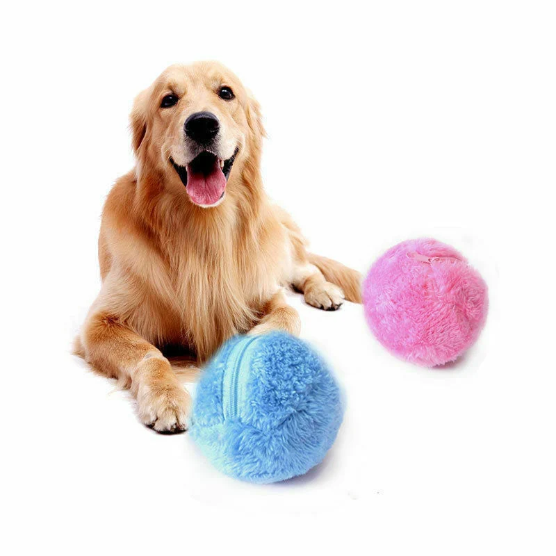 Selbstrollendes Hundespielzeug