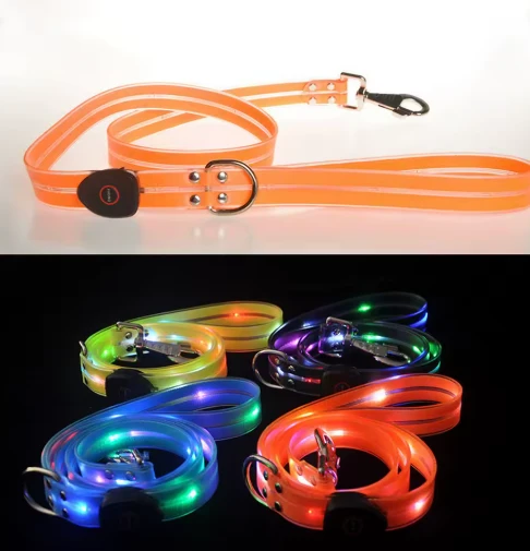 LED Hundehalsband mit Leine für sichere Spaziergänge
