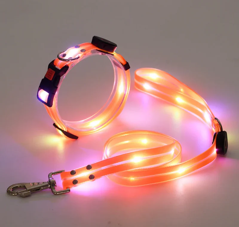 LED Hundehalsband mit Leine für sichere Spaziergänge