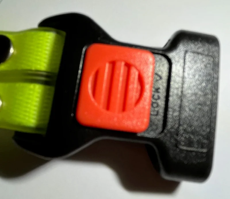 LED Hundehalsband mit Leine für sichere Spaziergänge