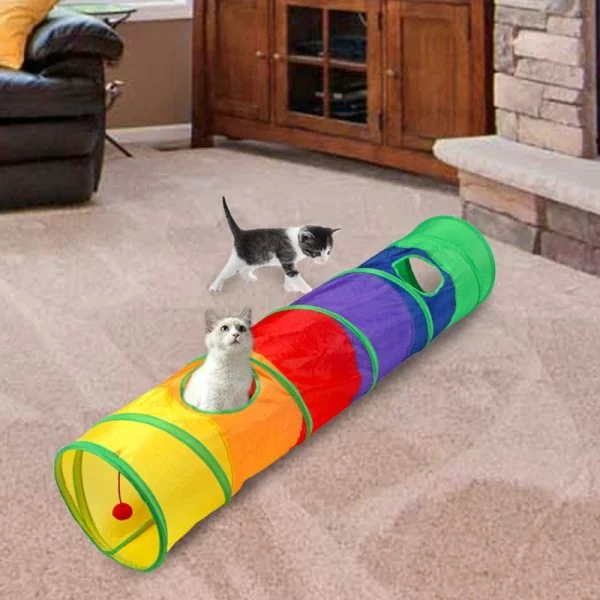 Regenbogen Katzen Tunnel