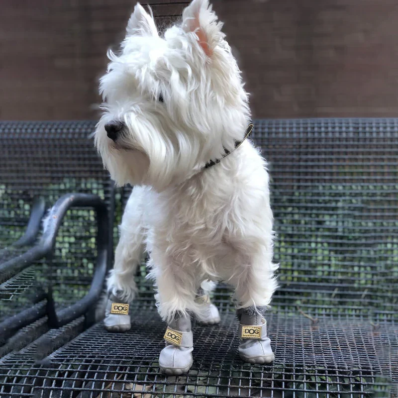 Kuschelige Hundeschneestiefel im Leder Look