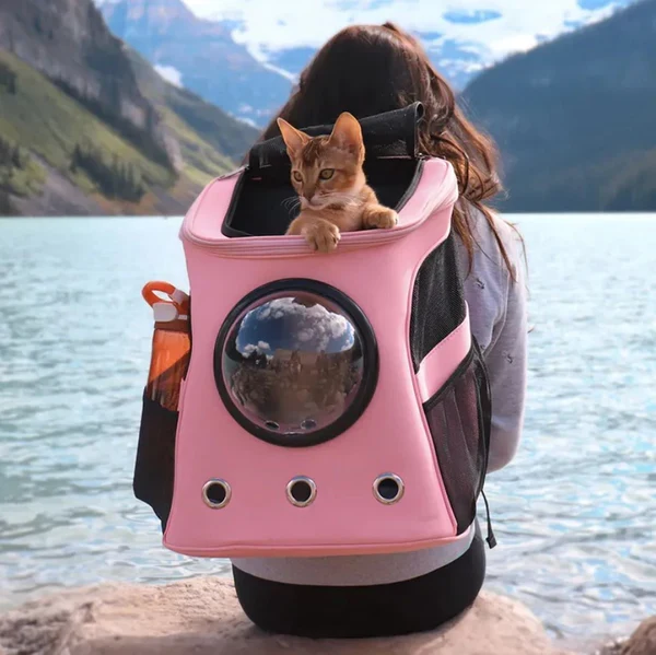 Katzen Transporttasche