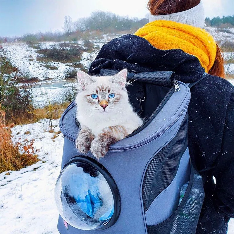 Katzen Transporttasche