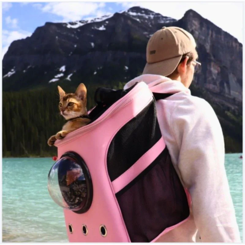 Katzen Transporttasche