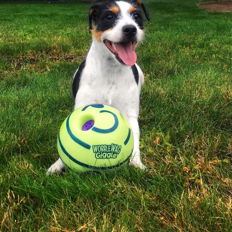 Kreativer Hundespielball mit interaktiven Funktionen