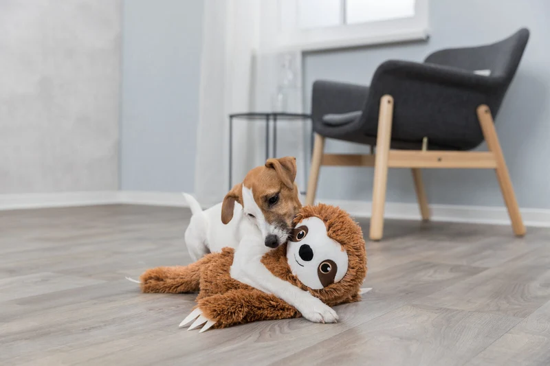 Hundespielzeug Plüsch-Faultier mit Quietscher