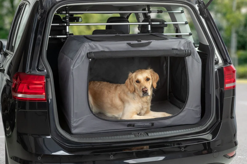 Hundebox Easy