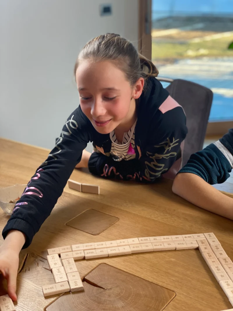 Didi Toys Mathematische Dominosteine +/- bis 20