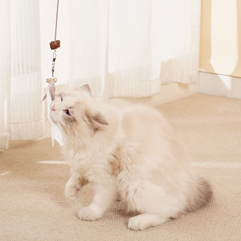 Hängendes Leckerli Spielzeug für Katzen
