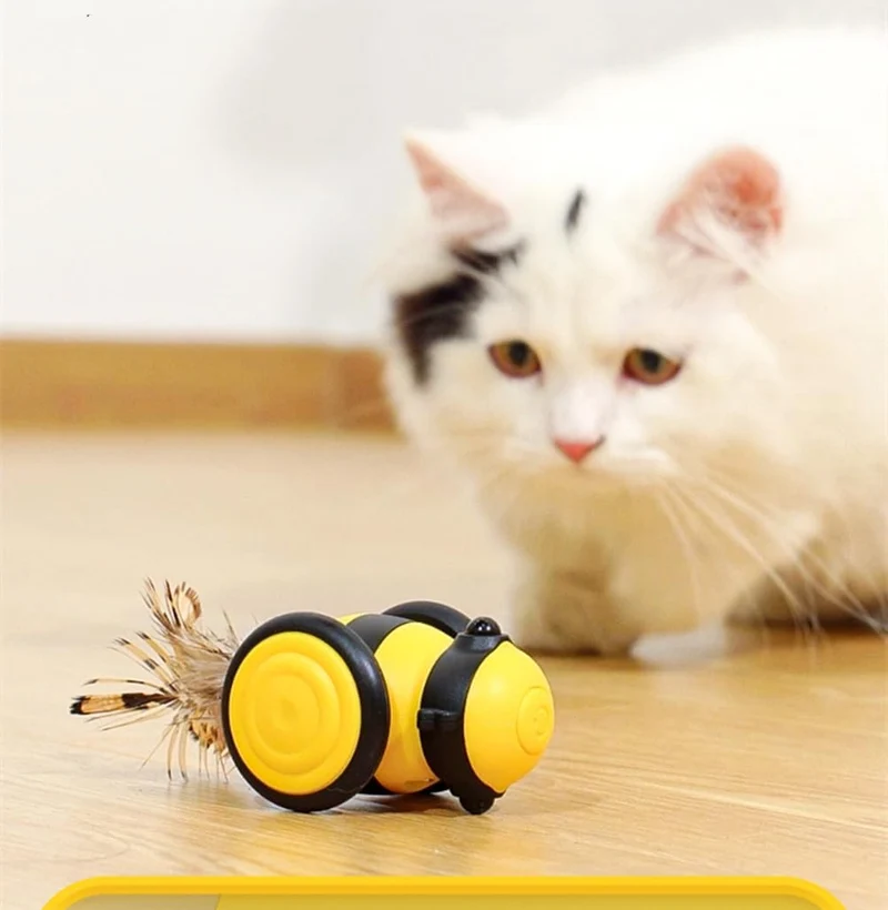 Ferngesteuertes Katzenspielzeug