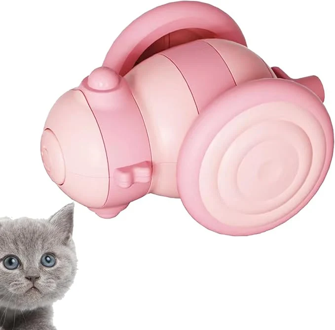 Ferngesteuertes Katzenspielzeug