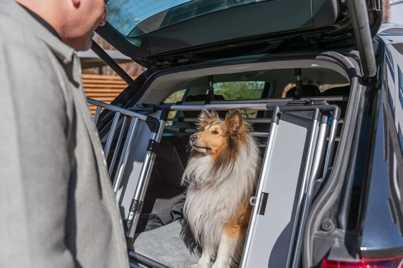 Universal-Heckgitter, verwandelt Kofferraum in Hundebox