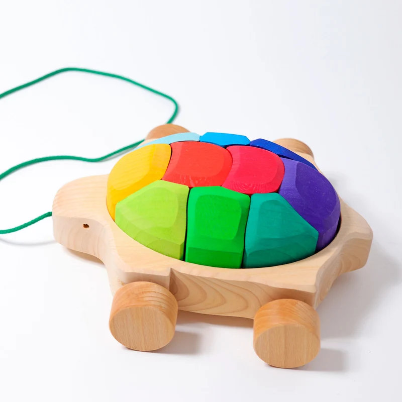 Grimm's Regenbogen Schildkröte