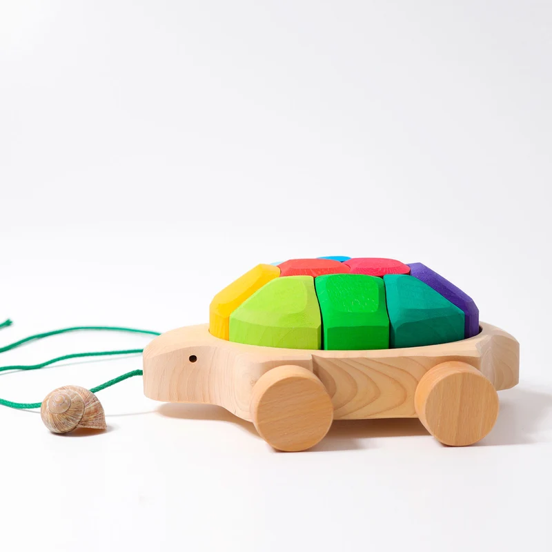 Grimm's Regenbogen Schildkröte