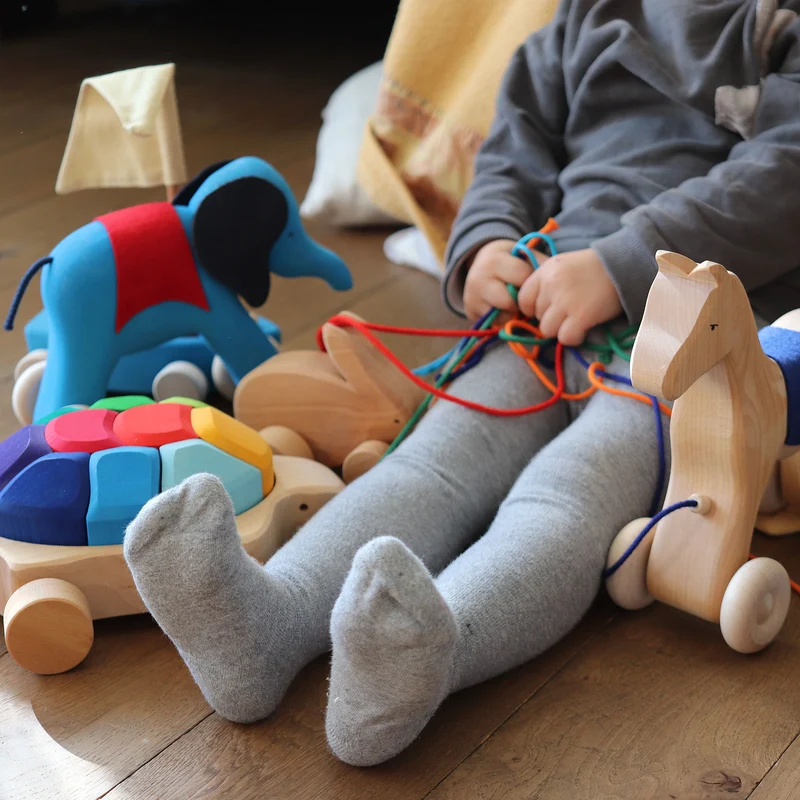 Grimm's Regenbogen Schildkröte